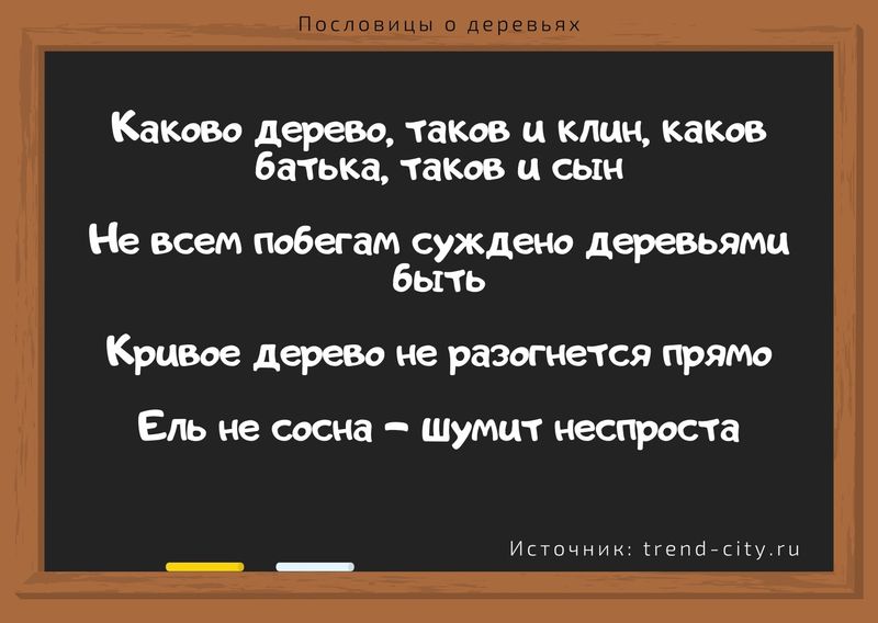 такой зачет на деревьях не растет текст. Смотреть фото такой зачет на деревьях не растет текст. Смотреть картинку такой зачет на деревьях не растет текст. Картинка про такой зачет на деревьях не растет текст. Фото такой зачет на деревьях не растет текст