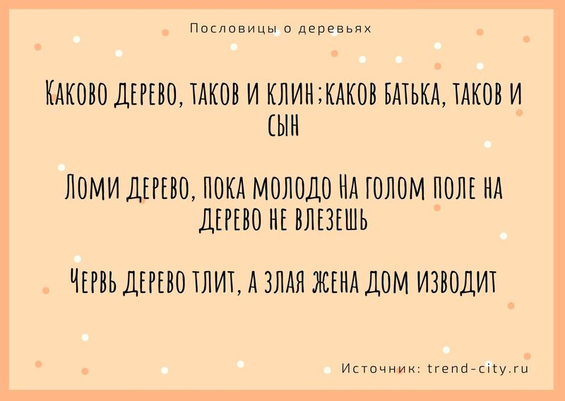 такой зачет на деревьях не растет текст. Смотреть фото такой зачет на деревьях не растет текст. Смотреть картинку такой зачет на деревьях не растет текст. Картинка про такой зачет на деревьях не растет текст. Фото такой зачет на деревьях не растет текст