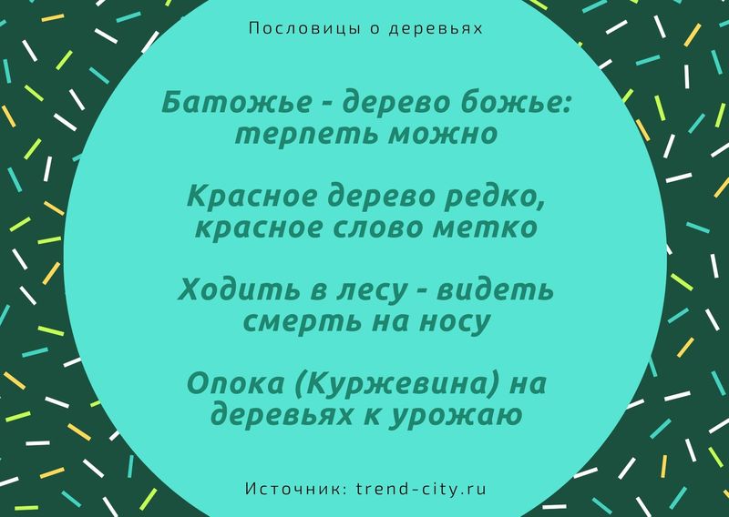 такой зачет на деревьях не растет текст. Смотреть фото такой зачет на деревьях не растет текст. Смотреть картинку такой зачет на деревьях не растет текст. Картинка про такой зачет на деревьях не растет текст. Фото такой зачет на деревьях не растет текст