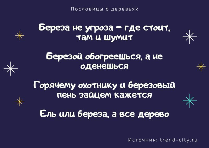 такой зачет на деревьях не растет текст. Смотреть фото такой зачет на деревьях не растет текст. Смотреть картинку такой зачет на деревьях не растет текст. Картинка про такой зачет на деревьях не растет текст. Фото такой зачет на деревьях не растет текст