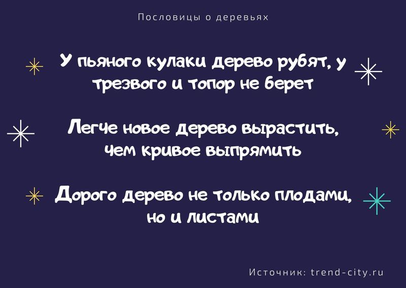 такой зачет на деревьях не растет текст. Смотреть фото такой зачет на деревьях не растет текст. Смотреть картинку такой зачет на деревьях не растет текст. Картинка про такой зачет на деревьях не растет текст. Фото такой зачет на деревьях не растет текст