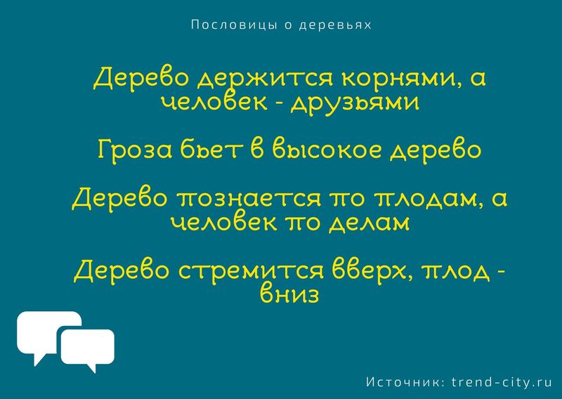 такой зачет на деревьях не растет текст. Смотреть фото такой зачет на деревьях не растет текст. Смотреть картинку такой зачет на деревьях не растет текст. Картинка про такой зачет на деревьях не растет текст. Фото такой зачет на деревьях не растет текст