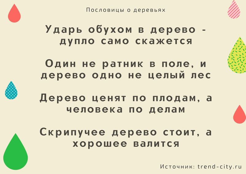 такой зачет на деревьях не растет текст. Смотреть фото такой зачет на деревьях не растет текст. Смотреть картинку такой зачет на деревьях не растет текст. Картинка про такой зачет на деревьях не растет текст. Фото такой зачет на деревьях не растет текст