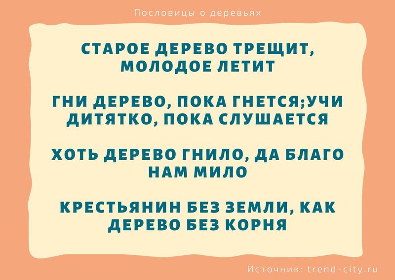 такой зачет на деревьях не растет текст. Смотреть фото такой зачет на деревьях не растет текст. Смотреть картинку такой зачет на деревьях не растет текст. Картинка про такой зачет на деревьях не растет текст. Фото такой зачет на деревьях не растет текст