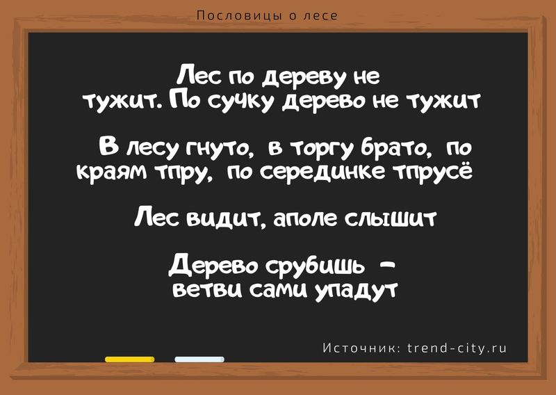 Пословицы о лесе 1