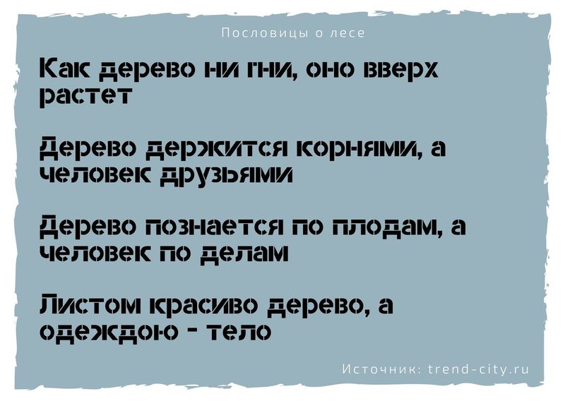 чем гуще лес пословица. Смотреть фото чем гуще лес пословица. Смотреть картинку чем гуще лес пословица. Картинка про чем гуще лес пословица. Фото чем гуще лес пословица