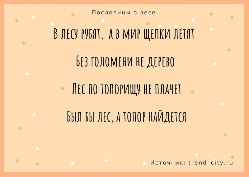 Пословицы о лесе 2