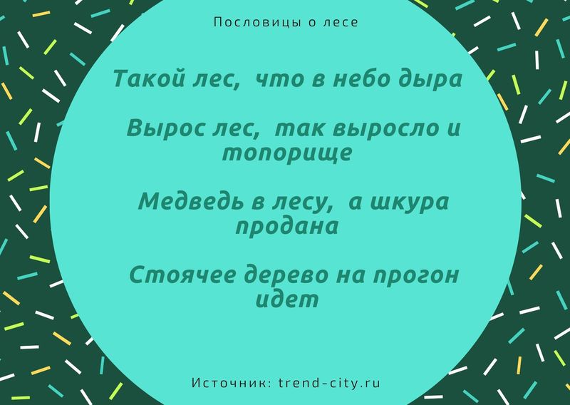 Пословицы о лесе 3