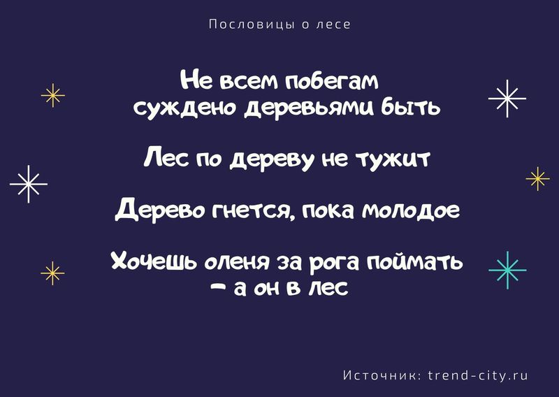Пословицы о лесе 4