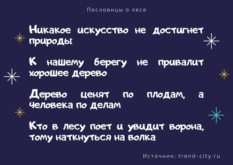 Пословицы о лесе 5
