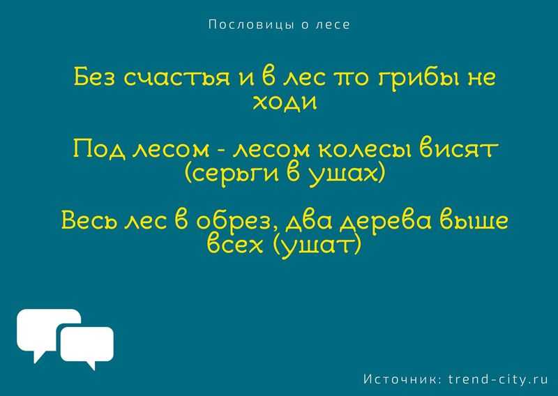 Пословицы о лесе 6