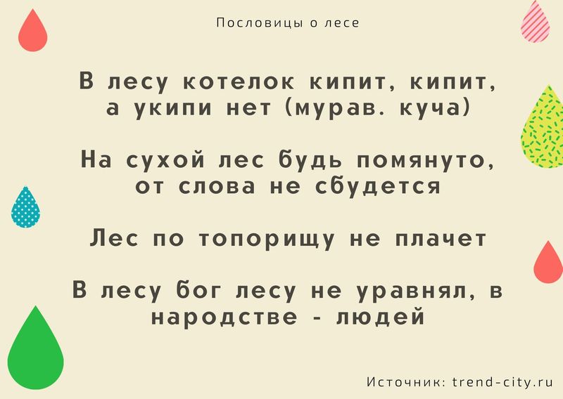 Пословицы о лесе 7