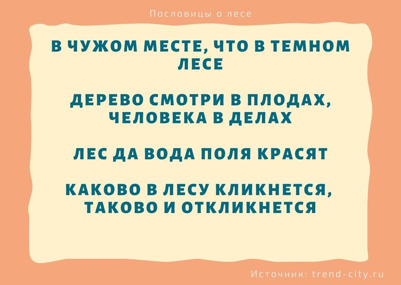 Пословицы о лесе 8