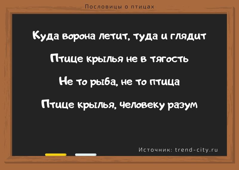 Пословицы о птицах 1