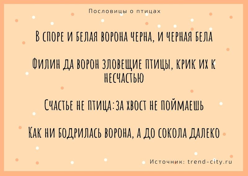 Пословицы о птицах 2