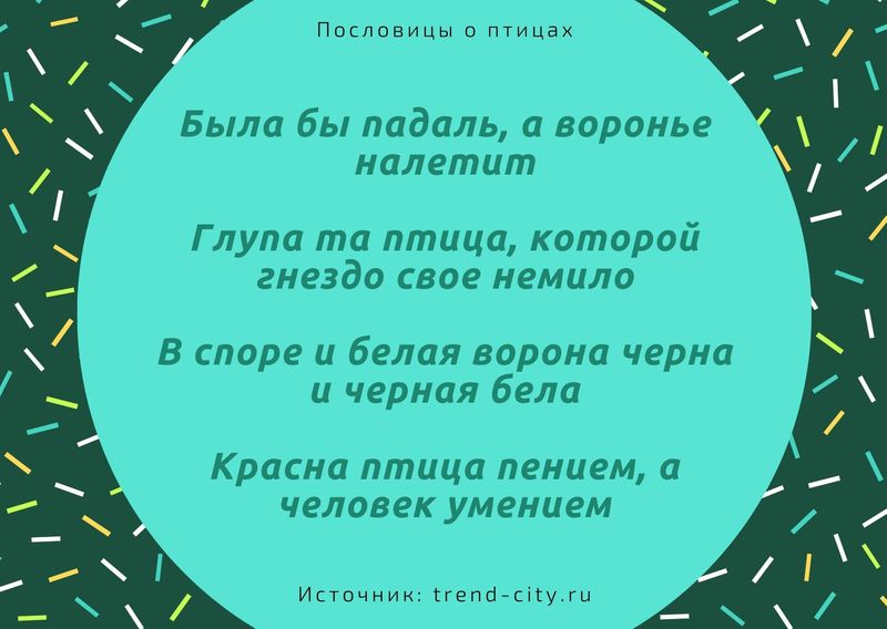 Пословицы о птицах 3