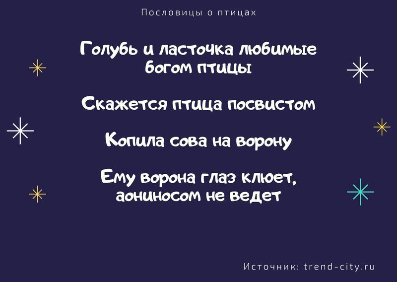 Пословицы о птицах 4
