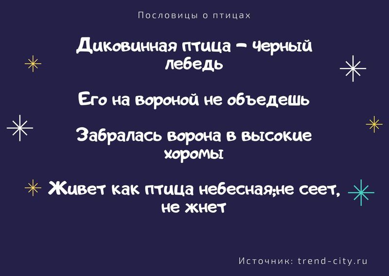 Пословицы о птицах 5
