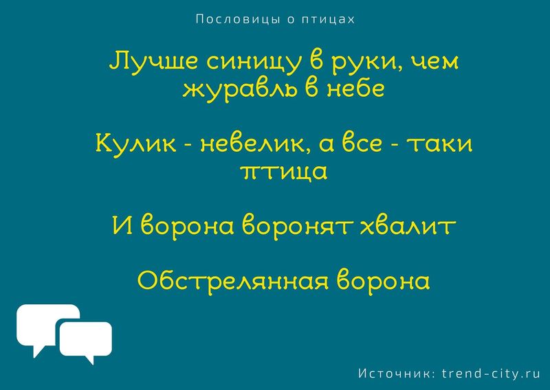 Пословицы о птицах 6