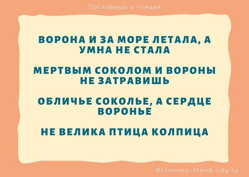 Пословицы о птицах 8