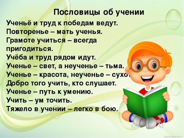 пословицы о школе 6