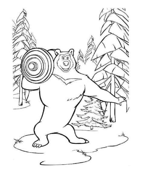 Гималайский медведь и штанга