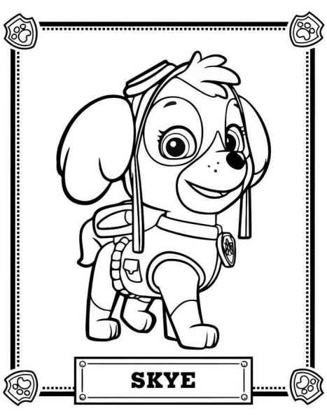 Щенячий патруль Скай