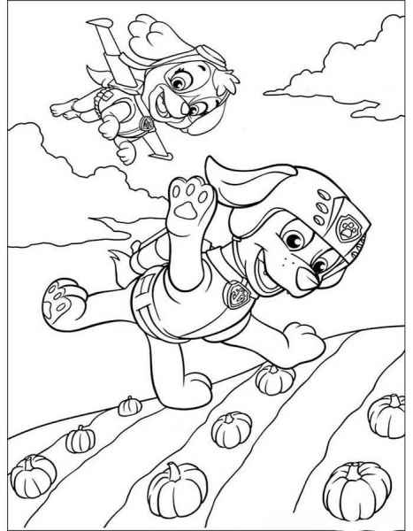 Рокки щенячий патруль