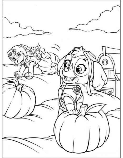 Щенячий патруль на грядках