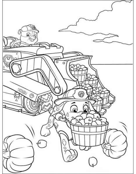 Щенячий патруль и урожай