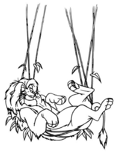 Симба взрослый