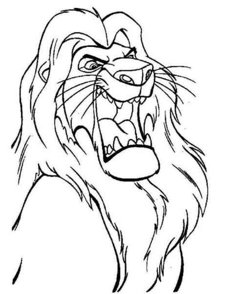 Симба в ярости