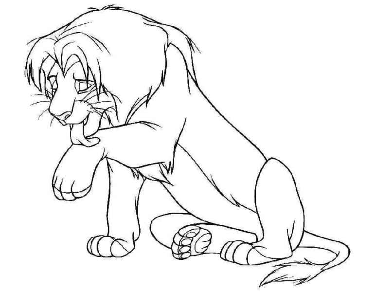 Симба моется