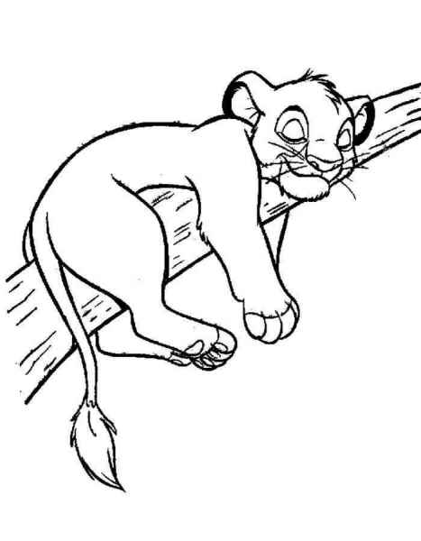 Спящий Симба