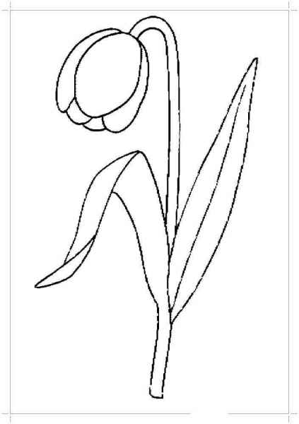 Цветок упал