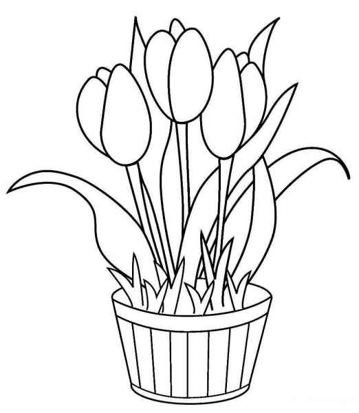 Цветы в горшочке