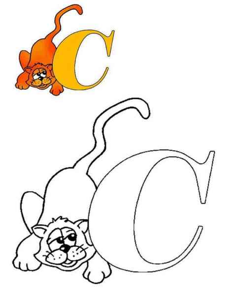 Буква C