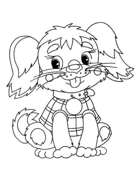 Собачка в клетку