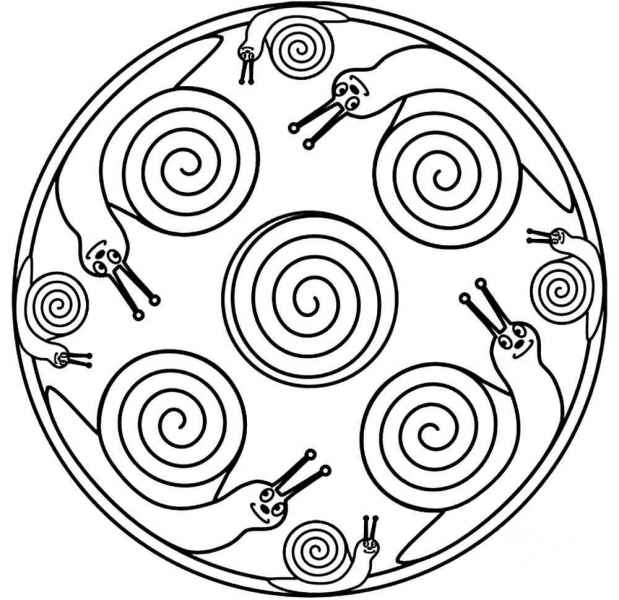 Улитки в круге