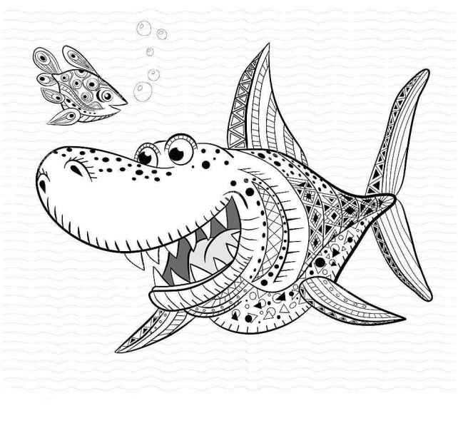 Маленькая рыбка и акула 