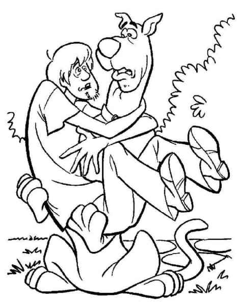 Шеди и скуби ду