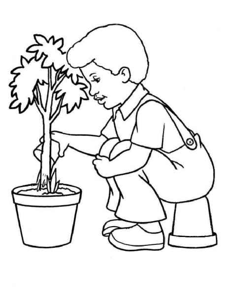 Мальчик сажает дерево