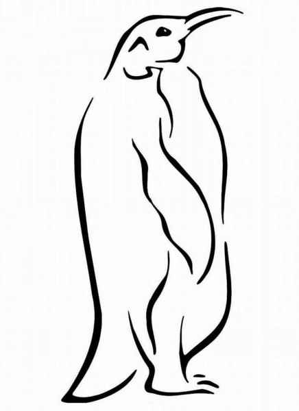 Взрослый пингвин