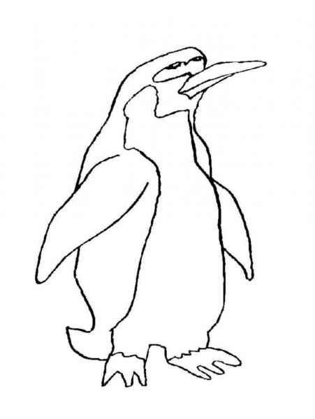 Пингвин смотрит вверх