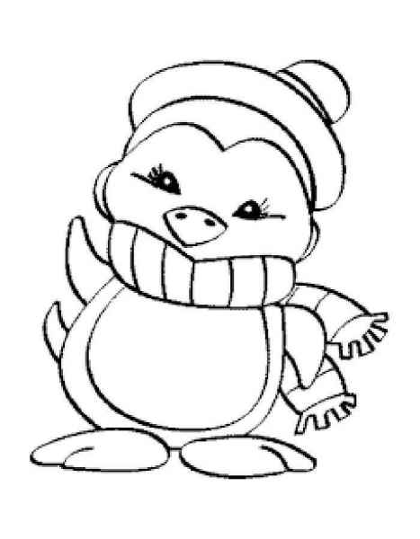 Милый пингвиненок