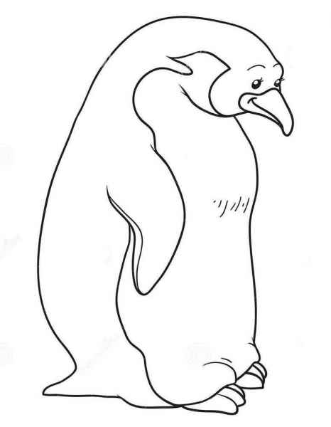 Толстый пингвин
