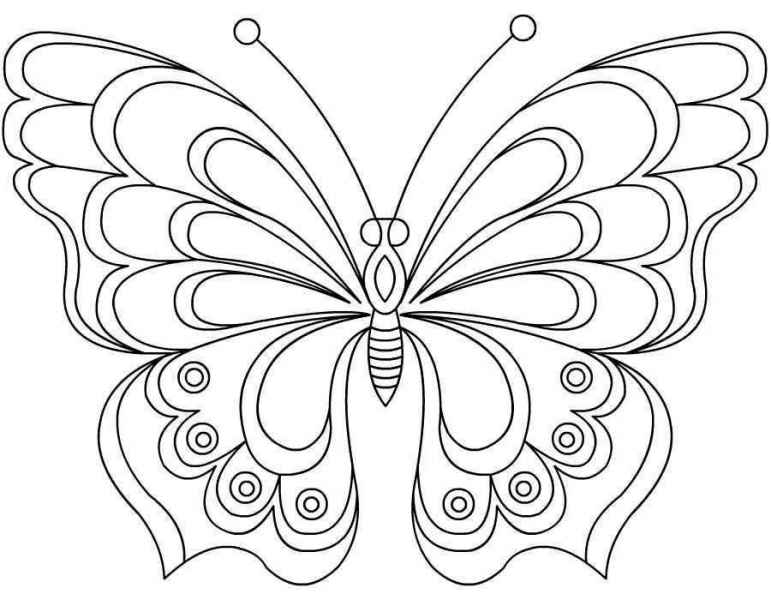 Большая бабочка