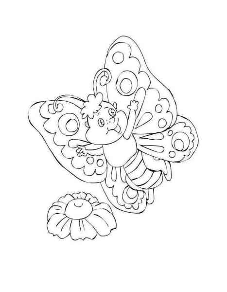 Бабочка и цветок