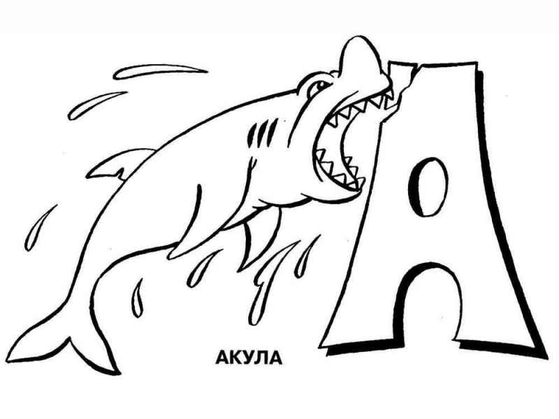 Акула