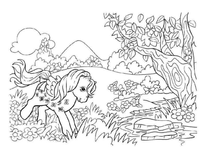 Пони в лесу